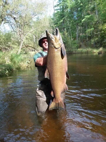 Large fish caught in a river